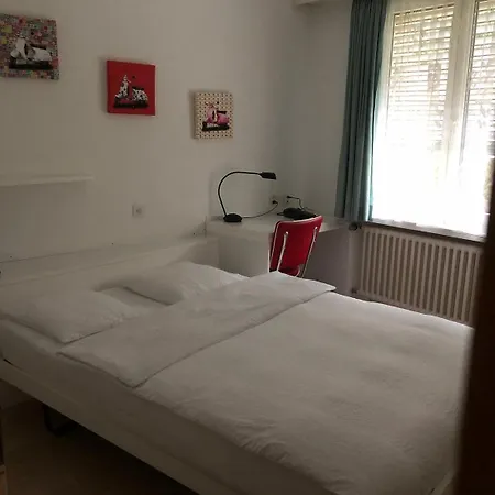 酒店 韦济亚酒店 盧加諾